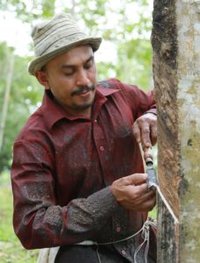 Natural Rubber Farmer – Sri Lanka – LR