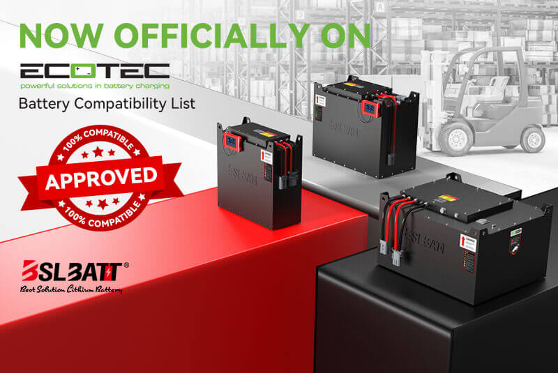 BSLBATT & ECOTEC (Micropower)